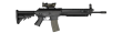 SG 556